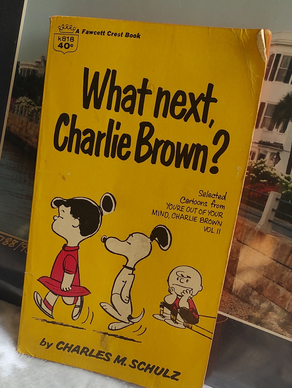 What's Next Charlie Brown